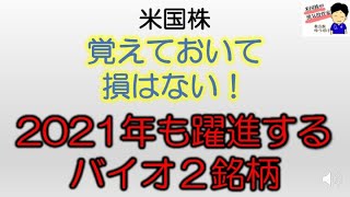 【米国株】ブルーオーシャンを探せ！