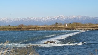 小さな窓の花ごよみ 1566 春の山河 阿賀野川左岸風景 ♪ 小さい春  アンドレ・ギャニオン♪