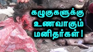 மனிதர்களை கழுகுகளுக்கு உணவாக்கும்  வினோத சடங்கு! | Tamil Mojo!