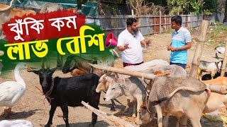 রহস্য কি নেই অর্থ লসের ঝুঁকি - বাছুর গরু মোটাতাজাকরণ | ছাগল মোটাতাজাকরণ পদ্ধতি || কৃষি ঘর