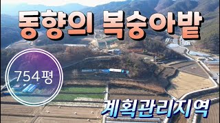 ★매물번호10229★충북 보은/9000만/ 농막놓고 소일거리 하실곳/독립적이고 조용한 토지/복숭아밭/보은 옥천 영동 상주