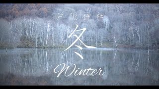 【公式】戸隠神社_冬_Winter