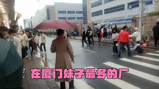 这公司挺有实力的，在厦门将近20年，生意一直都挺好，天天都加班~真实生活【厦门小亮】