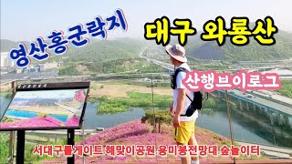 영산홍군락지가 있는 와룡산 산행브이로그│와룡산│와룡산등산│해맞이공원│영산홍│대구와룡산