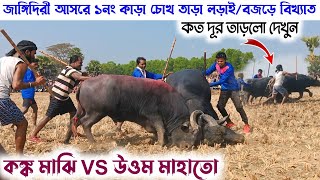 জাঙ্গিদীরি আসরে ১নং কাড়া সম্পুর্ন লড়াই/চোখ তাড়ে দিলো হে/কঙ্ক মাঝি vs উত্তম মাহাতো কেন্দাডি