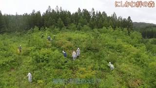 【にしかわ絆の森】20150627下刈り