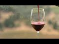 discover the wines of the rhone valley part 1 of 3