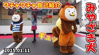 【みやざき犬】ワチャワチャ自己紹介 (20160111)