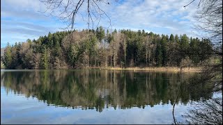 Meine Wanderung um den Türlersee (22.03.2024)