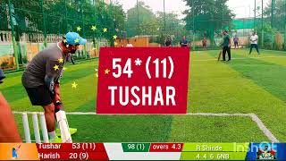 TURF CRICKET: The Ultimate Game of Skill and Precision | Cricket match