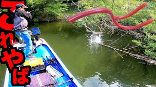 【バス釣り】春夏秋冬マジで『釣れる魔法のワーム』で釣りまくった1年分まとめてみた！