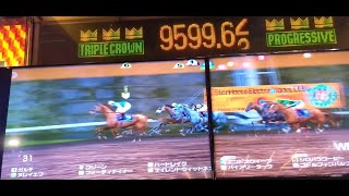 デブ馬やで？　#スタホプログレスショート動画