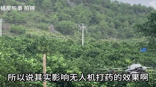 影响植保无人机飞防效果的因素都有哪些？