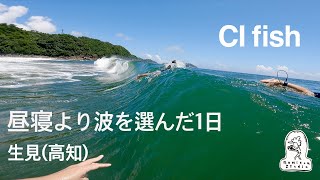 【CI fish】早朝サーフィンからの昼寝より波を選んで正解だった日　生見（高知）