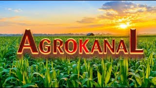 AGROKANAL 22-02-2025