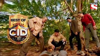 Best of CID (Bangla) - সীআইডী - The Secret Of Tree - Full Episode