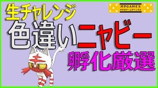 【ポケモン サンムーン】国際孵化色違い厳選生チャレンジ！ニャビー 1～150匹（完） 【オタGAMES】