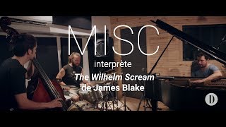 Misc interprète « The Wilhelm Scream » de James Blake