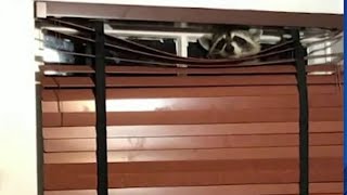 Raccoon breaks into Florida home