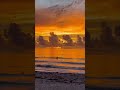 4K Video Sea Waves Under Sunset /Golden Hour /Stress Relief / Amazing Nature Scenery #Shorts #nature