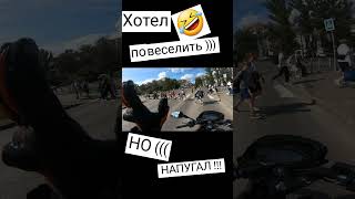 Случайно напугал малышей )))