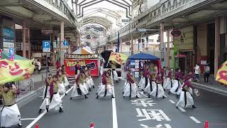 かんしゃら　2022YOSAKOIぶち楽市民祭