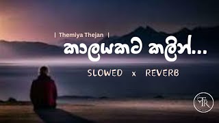 Kaalayakata Kalin (කාලයකට කලින්) Slowed Reverb song feat. Themiya Thejan  #slowedandreverb #new