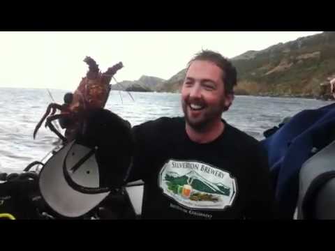 Lukes happy lobsters!!! Lukes happy lobsters!!!