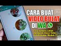 Cara Buat Video Bulat di Whatsapp