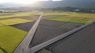 台東池上-天堂路與伯朗大道