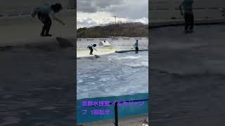 妙技！ イルカショー 空中１.５回転！  Dolphin's aerial rotation in Kyoto Aquarium.