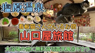 栃木県塩原温泉【谺（こだま）の湯♨️山口屋旅館】貸切露天風呂が2つある看板猫さんのいるお宿🐈那須塩原市