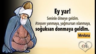 Mevlana Sözleri 🌹 ( Dinleyin İlaç Gibi ) 🌹 Eğriyi kendinde arayan, 🌹 Doğruyu kendinde bulur...!!!