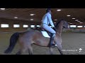 Jeff Cook Clinic:  Section III at Torsilieri Show Stables