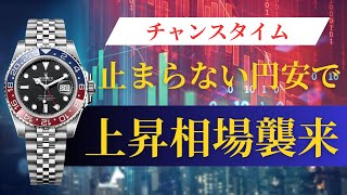 【上昇相場へ】週間ロレックス相場/プロフェッショナルモデル編【2024年10月4週目】