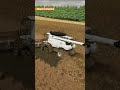 Canola Harvesting with Lizard Reaper 2000 Harvester | Farming Simulator 22