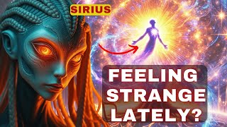 [Sirius] Feeling Strange Lately? Symptoms are a reaction to a specific period.