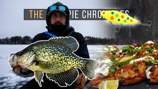 PSYCHO SHAD Wisconsin Crappies \u0026 Texas Toast FISH TACOS - The Crappie Chronicles (S5:E3)