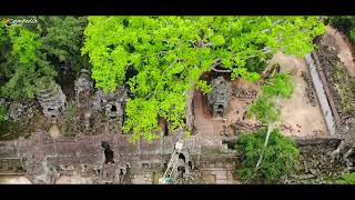 ប្រាសាទតាព្រហ្ម- Ta Prohm Temple