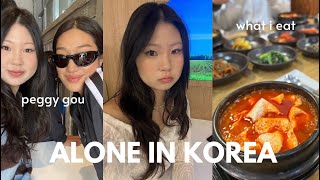 Alone in Seoul 🧸 EATING LOTS OF KOREAN FOOD, PEGGY GOU, Shopping