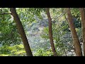 東京の紅葉　東大本郷構内　晩秋の三四郎池　２０１５．１１．３０　hongo tokyo