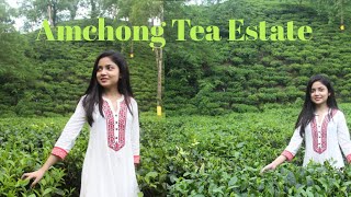 A short trip to Amchong Tea Estate | Guwahati | Amsing Jorabat | Road trip ♥️