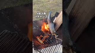 焚き火×焼き魚🐟