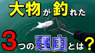 タイラバで大きなタイが釣れた3つの理由を解説。