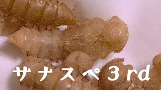 【閲覧注意】サナギスペシャル３【ミルワーム飼育】