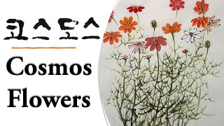 How to draw colorful cosmos flowers.