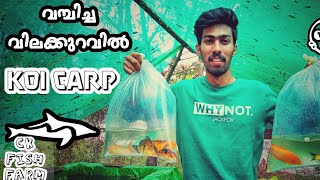 വമ്പിച്ച വിലക്കുറവിൽ KOI CARP | CK FISH FARM |   #rootsofnature #ckfishfarm #aquariumfishes