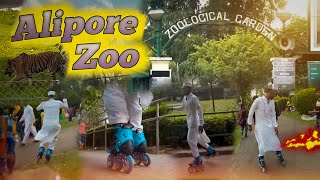 Kolkata Alipore Zoo Skating Vlog.🔥