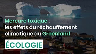 Mercure toxique : les effets du réchauffement climatique au Groenland