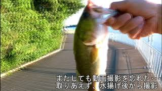 【カヨイボーズ】駕与丁公園　2020/08/14　バス